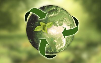 Jornada ‘Plásticos y Economía Circular – Más allá del reciclado’